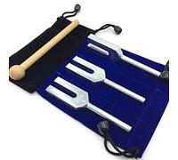 HWGING Lot de 3 diapasons à haute fréquence - 4096 Hz - Pour instrument de musique - Argenté