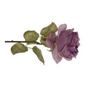 HWGING Rose Artificielle Fleur Maison Chambre Table de Mariage Exquise Fausse Rose Pièce Maîtresse Décoration pour Bouquet (Violet)