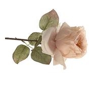 HWGING Rose Artificielle Fleur Maison Chambre Table de Mariage Exquise Fausse Rose Pièce Maîtresse Décoration pour Bouquet (Champagne)