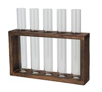 HWGING Vase à Fleurs Simple, Vase Tube à Essai, Tube en Verre, avec Support en Bois, à Fleurs, en Verre à Essai, Culture Hydroponique, de Table, à Simple, (Cadre Vintage + 5 Bouteilles)