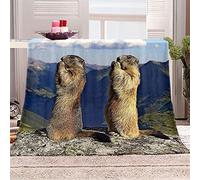 HWHMJJ Couverture et Plaids Marmotte de la Colline 3D Numérique Imprimé Flanelle Couverture Microfibre Doux Bureau Pause Déjeuner Literie Feuilles 130 x 150 cm
