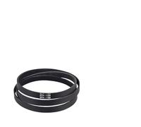 HWWW Courroie compatible avec les machines à laver tambour 5PJE1255/1189/1246/1281/1252(1189HMAEL)