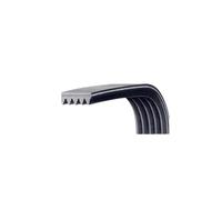 HWWW Courroie multi-cales PH1580 3PH1580 4PH1580 5PH1580 6PH1580 7PH1580 8PH1580(6PH1580)