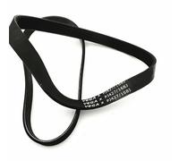 HWWW Courroie trapézoïdale PJ427 168J 6 nervures 6PJ427(1pc)