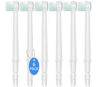 Hwxtoxy Embouts de rechange pour hydropulseur Waterpik Aquarius Waterpik Têtes de rechange pour brosse à dents et irrigateurs bucco-dentaires (6 embouts de brosse)
