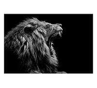 HXA DECO Affiche Baillement de Lion - 60x40cm - Made in France - Made in France - 60x40