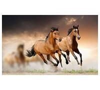 HXA DECO Affiche Chevaux en Plein Galop - 60x40cm - Made in France - Made in France - 60x40