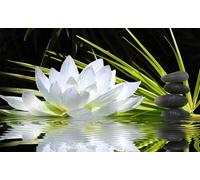 HXA DECO - Décoration Murale pour Le Salon, Tableau Deco Ambiance Zen et Fleur de Lotus - 80x50 cm