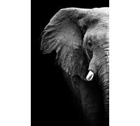 HXA DECO - Decoration Murale, Tableau Deco Tableau Mural, Tableau Animaux Portrait Artistique Elephant Noir et Blanc - 50x80 cm