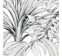HXA DECO Papier peint dessin banana jungle - rouleau 0,53x10,00 m