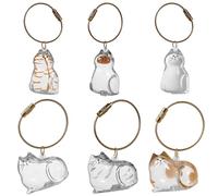 HXNH Boîte de rangement créative pour poils de chats, bouteille en acrylique, porte-clés, capsule de mémoire portable pour poils de chat