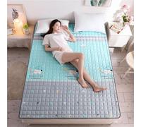 hxoity Matelas D'appoint Pliable 1cm Fin Polyester Gain De Place Tapis Futon Sol pour Maison Appartement Camping-Car Doux Antidérapant Japonais Tatami Style Cartoon Dortoir Étudiant Canapé Respirant