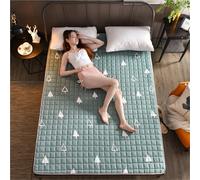hxoity Matelas D'appoint Pliable 1cm Fin Polyester Gain De Place Tapis Futon Sol pour Maison Appartement Camping-Car Doux Antidérapant Japonais Tatami Style Cartoon Dortoir Étudiant Canapé Respirant