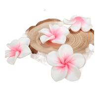 HXSCOO 10 pièces/Lots 35mm polymère Argile Plumeria frangipanier Fleurs Perles for Bricolage hawaïen Boucles d'oreilles Collier Vacances Bijoux Artisanat Fabrication (Color : White and Pink)