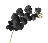 HXSCOO Arrangement d'orchidées Phalaenopsis artificielles: décoration élégante for Salon, Bureau et événements(9heads-Black)