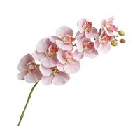 HXSCOO Arrangement d'orchidées Phalaenopsis artificielles: décoration élégante for Salon, Bureau et événements(9heads-smokepowder)