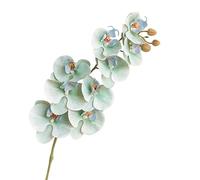 HXSCOO Arrangement d'orchidées Phalaenopsis artificielles: décoration élégante for Salon, Bureau et événements(9heads-Green)