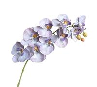 HXSCOO Arrangement d'orchidées Phalaenopsis artificielles: décoration élégante for Salon, Bureau et événements(9heads-greypurple)