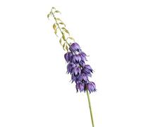 HXSCOO Ensemble de carillons éoliens à la Vanille for décoration de Mariage - Fleurs artificielles for la décoration intérieure et Les événements(Purpleblue)