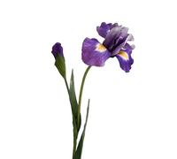 HXSCOO Fleurs artificielles d'iris Flower Feel - Parfaites for Les décorations du Nouvel an, Les Mariages et Les Accessoires Photo(Smallsizefeelspurple)