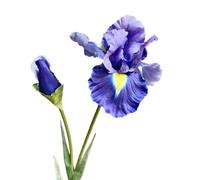 HXSCOO Fleurs artificielles d'iris Flower Feel - Parfaites for Les décorations du Nouvel an, Les Mariages et Les Accessoires Photo(Largesilkpurpleandblue)