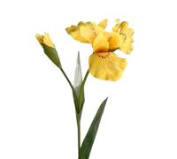HXSCOO Fleurs artificielles d'iris Flower Feel - Parfaites for Les décorations du Nouvel an, Les Mariages et Les Accessoires Photo(Thetrumpetfeelsyellow)