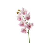 HXSCOO Orchidée cymbidium Artificielle - Composition Florale en Soie for la décoration de la Maison et du Mariage(Gouache)