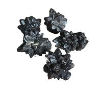 HXSCOO Pierres Naturelles Égyptien Prophétie Cristal Guérison Désert Limonite Chambre Décor Spécimen Minéral Pierre Brute Énergie Wichcraft Reiki (Size : 10-15g)