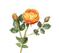 HXSCOO Roses artificielles à thé - De Belles Roses souriantes for Mariages, Restaurants, Salons et Bureaux(Orange)