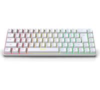HXSJ V200 K68 Mini-clavier à 68 touches, effets lumineux RGB multiples | 19 touches sans conflit | Capuchons de touches à injection ABS, blanc