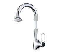 HXYhydrypd Robinet Salle Bain avec Douchette Extractible, 2 Modes de Sortie d'eau, Mitigeur Lavabo avec Élément Filtrant Amovible pour Cuisine de Camping-Car et de Ferme(Silver)
