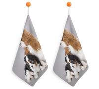 HXYWQA Suspension Cavalier Roi Charles Spaniel 2 Serviettes avec Cordon, Chaudes pour Un Usage Domestique, Séchage Et Absorbantes, Adaptées À La Cuisine Et À La Salle De Bain