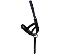 Hy cuir poulain slip licol BZ350 (S) (Noir)