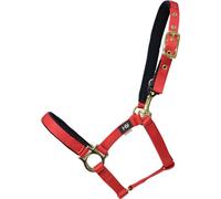 Hy Fieldsafe petit poney et poulain Licol BZ250 (poulain/petit poney) (Rouge)