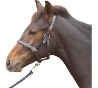 Hy Licol pour poulain en cuir BZ348 (Large) (Noir)