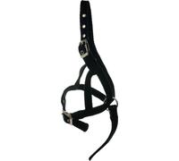 Hy Poulain Slip Licol BZ282 (Taille unique) (Noir)