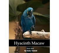 Hyacinth Macaw: Hyacinth Macaw: Blue Parrot, Rainforest, Wings, Wildlife, Brazil and More