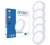 HYBEC - Plafonnier LED 12W Cuisine et Salle de Bain, Blanc Froid 6500K (Lot de 5)