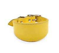 HYBEW Collier réglable en cuir souple pour promener les lévriers et les chiots, rembourré