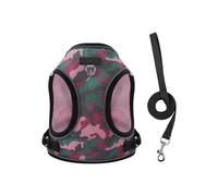 HYBEW Harnais pour petits chiens de petite taille - Réglable et respirant - Design confortable - Motif dessin animé