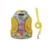 HYBEW Harnais pour petits chiens de petite taille - Réglable et respirant - Design confortable - Motif dessin animé