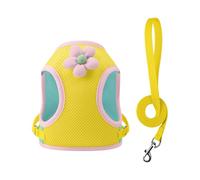 HYBEW Harnais pour petits chiens de petite taille - Réglable et respirant - Design confortable - Motif dessin animé