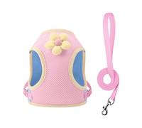 HYBEW Harnais pour petits chiens de petite taille - Réglable et respirant - Design confortable - Motif dessin animé