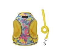 HYBEW Harnais pour petits chiens de petite taille - Réglable et respirant - Design confortable - Motif dessin animé