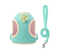 HYBEW Harnais pour petits chiens de petite taille - Réglable et respirant - Design confortable - Motif dessin animé