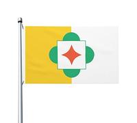 Hyde Park Cincinnati Ohio Drapeau De Cour 90X150Cm Double Face Drapeau De Festival Couleurs Éclatantes Bannière Extérieur Pour Jardin Ferme Porte