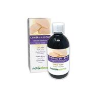 Hydne hérisson ou Crinière de lion (Hericium erinaceus) champignon Teinture Mère sans alcool Naturalma - Extrait liquide gouttes 500 ml - Complément alimentaire - Végétalien ou végan