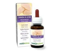 Hydne hérisson ou Crinière de lion (Hericium erinaceus) champignon Teinture Mère sans alcool Naturalma - Extrait liquide gouttes 60 ml - Complément alimentaire - Végétalien ou végan