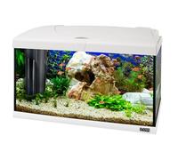 Hydor Aquarium 60L pour Poissons Tropicaux ou d'eau Douce, Aquarium Complet: Lampe LED, Filtre Interne à 2 étages, Chauffage, 60 x 31,5 x h 39,5 cm. en Verre Blanc