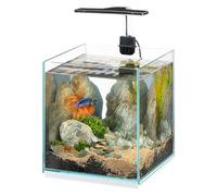 Hydor Aquarium 9,5L avec Lampe LED à Intensité Variable 3 Modes (Jour, Nuit et Mixte), 22 x 22 x h 36 cm.